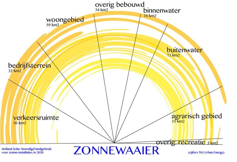 Knipselzonnewaaier.JPG